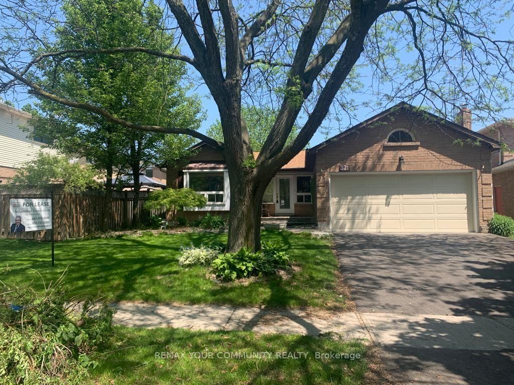 371 Selby Crescent Basement #Basement, Newmarket — Detached for lease, photo 1