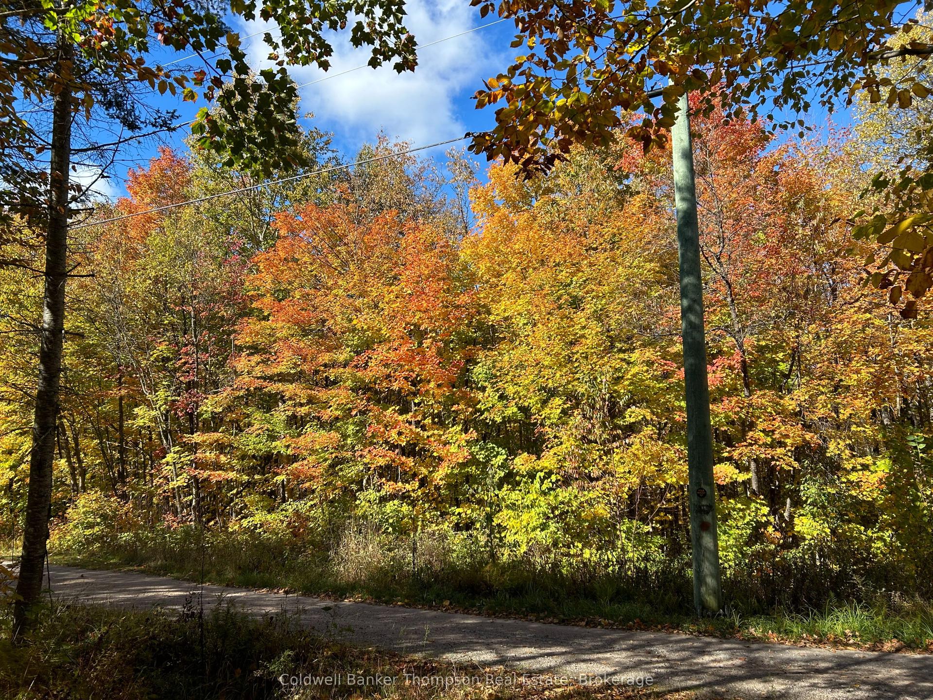 833 Hamilton Lake Road, Machar — Land for sale, photo 1