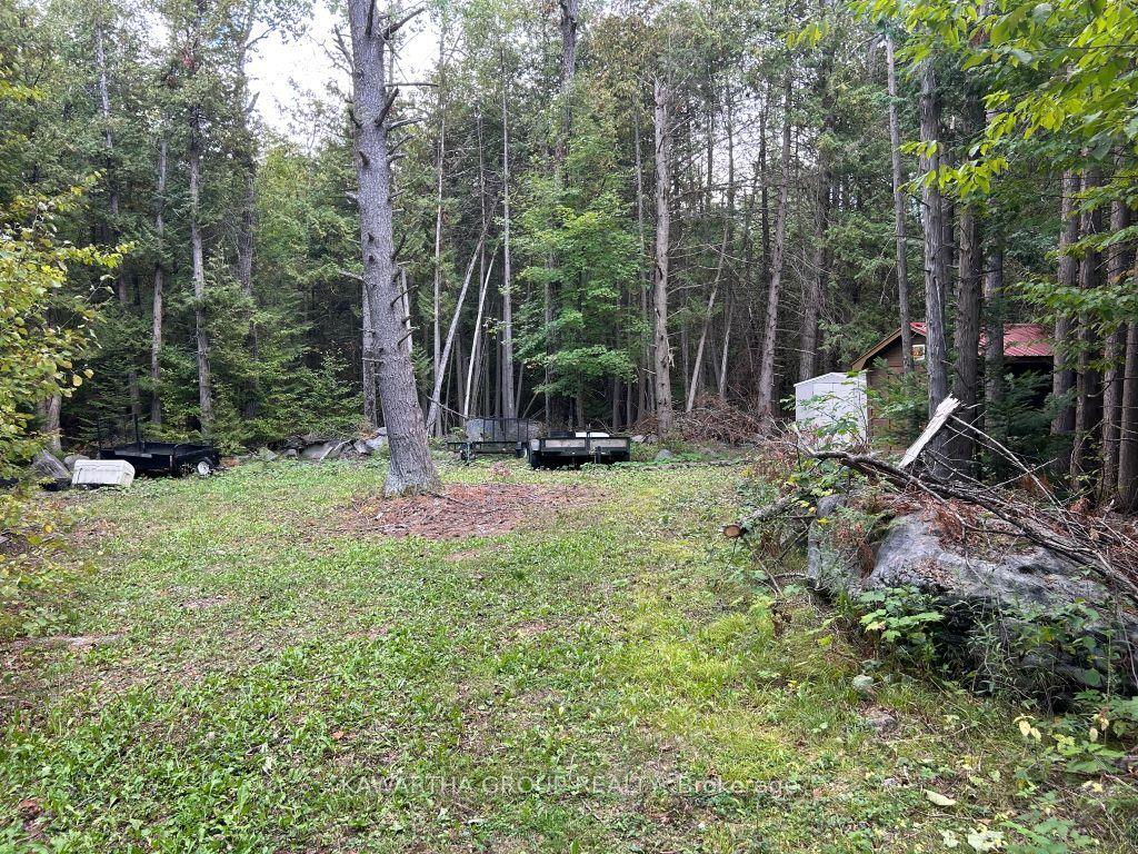 176 Base Line Road, Kawartha Lakes — Land for sale, photo 1